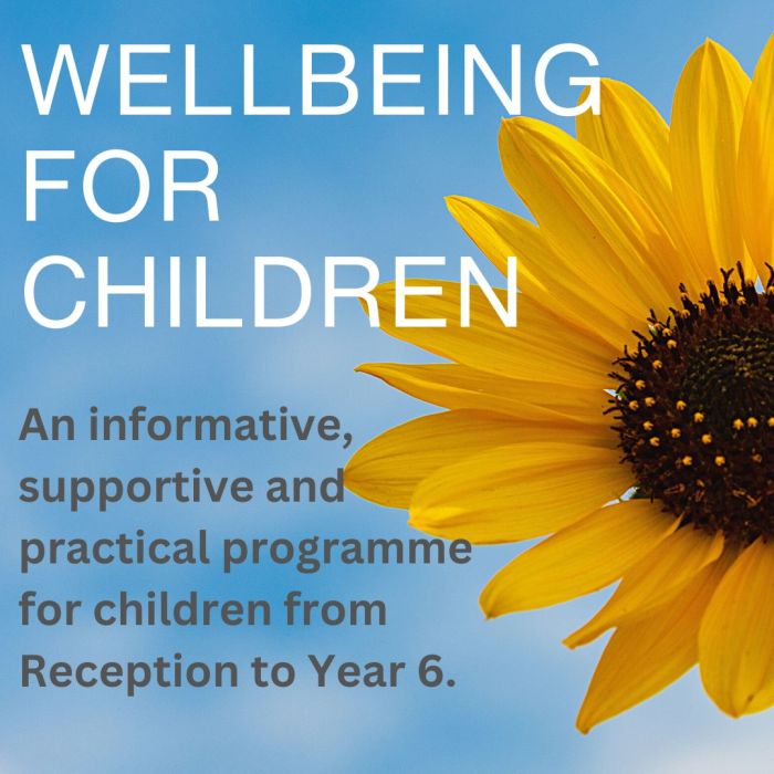 Ensuring the Wellbeing of children (online course)